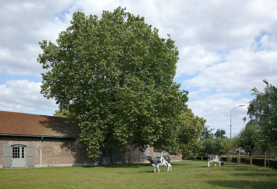 Ferme du Mont-Garin, Lambersart
